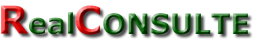 realconsulte.com