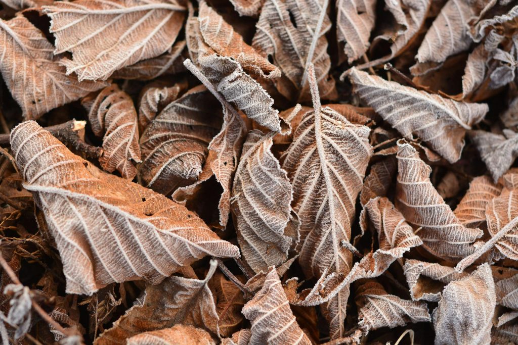 Como Solicitar Cartão de Crédito Online: Comparativo entre Banco de la Nación Argentina, Banco Galicia, Santander Río, BBVA e Banco Macro - como solicitar cartão de credito online Argentina