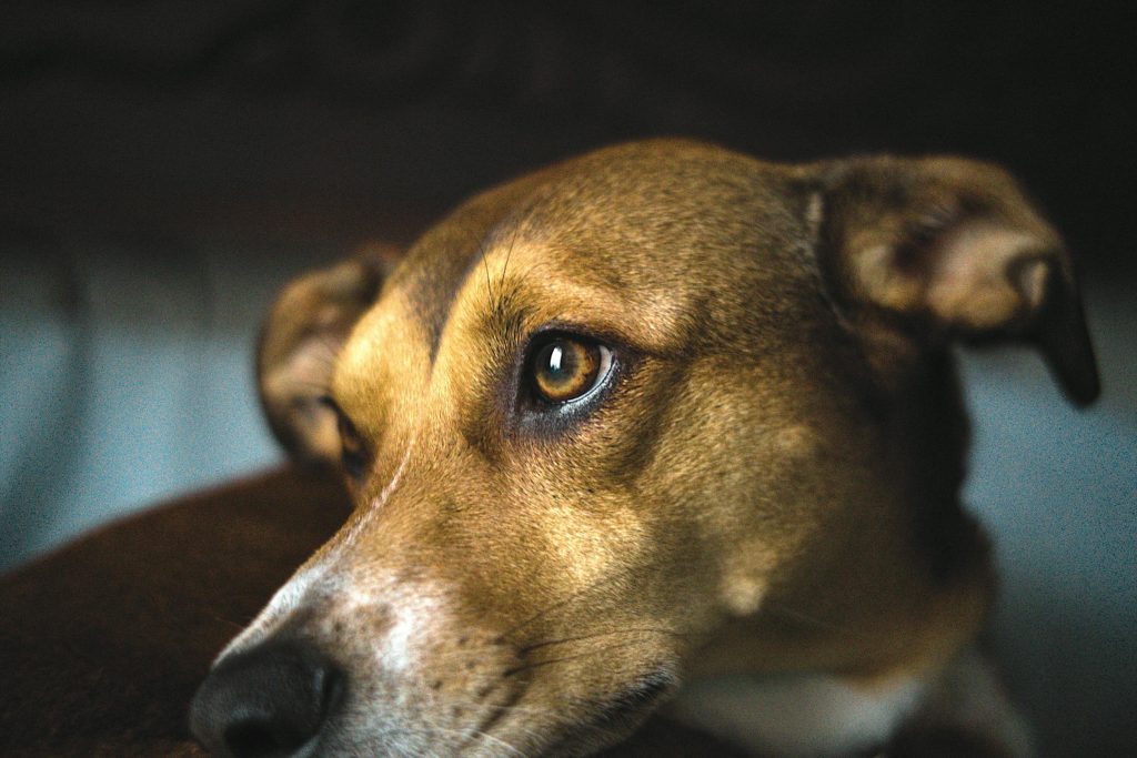 Guia Completo para Solicitar Empréstimos Online na Costa Rica: Comparando as Melhores Opções entre Banco Nacional, BAC Credomatic e Mais - como solicitar um empréstimo online Costa Rica