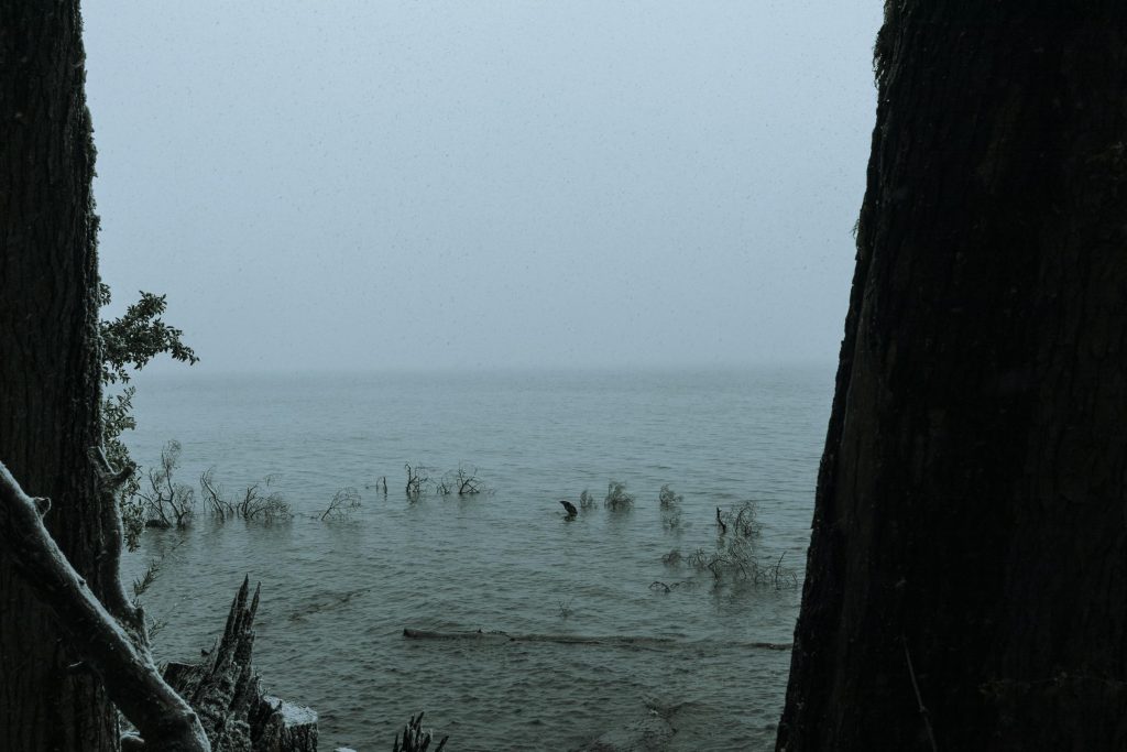 Empréstimos Digitais na Argentina: O que Banco Santander Río, Mercado Pago e Ualá Têm a Oferecer? - como solicitar um empréstimo online Argentina