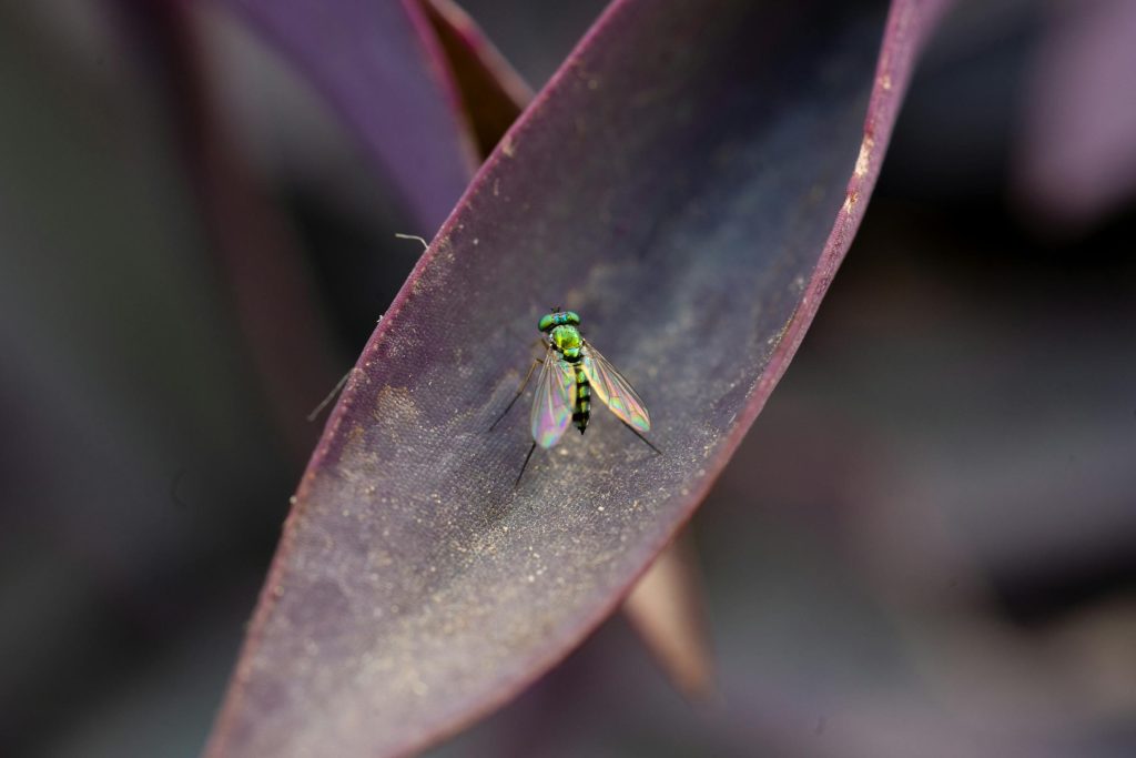 Facilidades e Vantagens: Cartões de Crédito do Banco BBVA Argentina e Banco Macro para Solicitação Online - como solicitar cartão de credito online Argentina